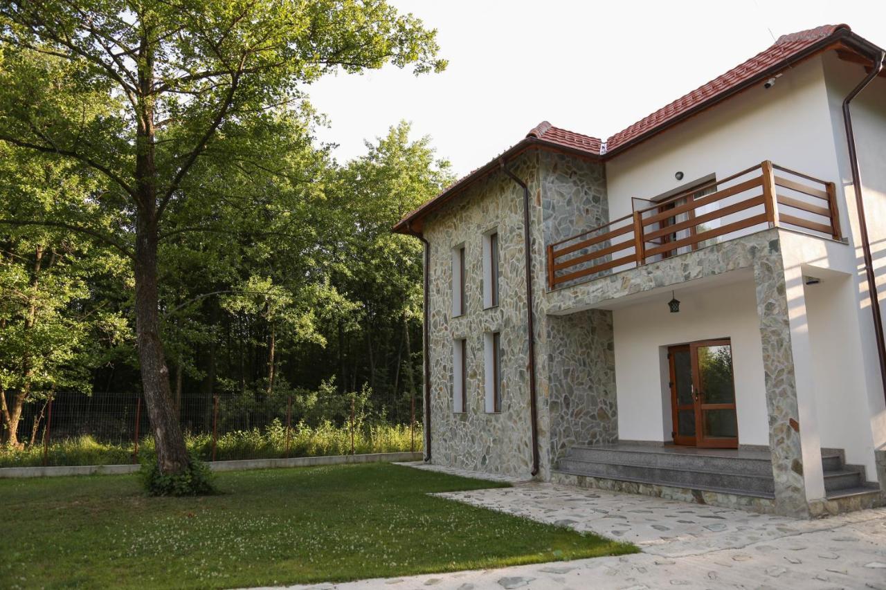 Pensiunea 2 A-Mici Runcu  Exterior photo